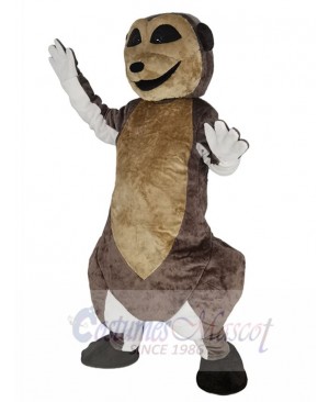 Meerkat mascot costume