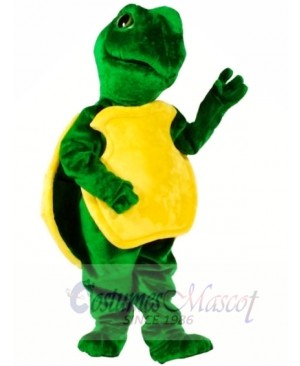 Turtle Mascot Costumes Free Shipping 