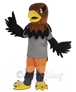 Hawk mascot costume