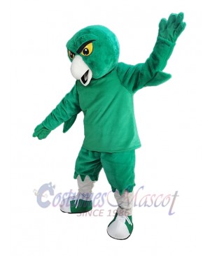 Owl mascot costume