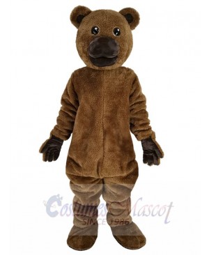 Bear mascot costume