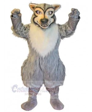 Wolf mascot costume