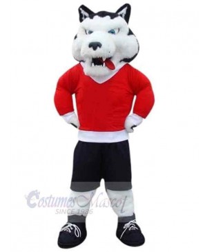 Wolf mascot costume