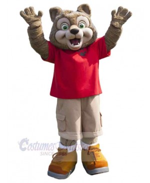 Wolf mascot costume