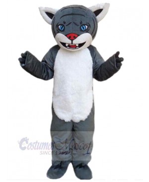 Wolf mascot costume