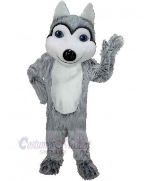 Wolf mascot costume