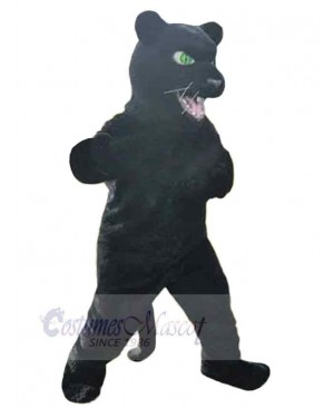 Panther mascot costume