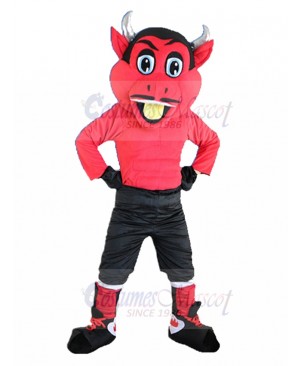 Devil mascot costume