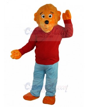 bear mascot costume