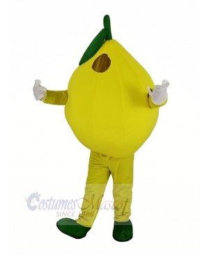 Yellow Lemon Mascot Costume