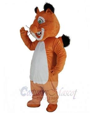 Squirrel mascot costume