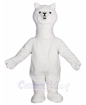 Alpaca Llama Mascot Costumes Animal 