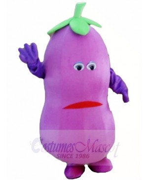 Eggplant Mascot Costumes Vegetable Plant