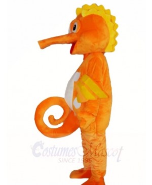 Hippocampus Sea Horse Mascot Costumes Animal