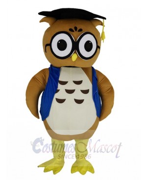 Owl mascot costume