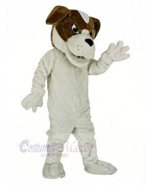 Saint Bernard Dog Mascot Costume Cartoon