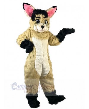 Rabbit mascot costume