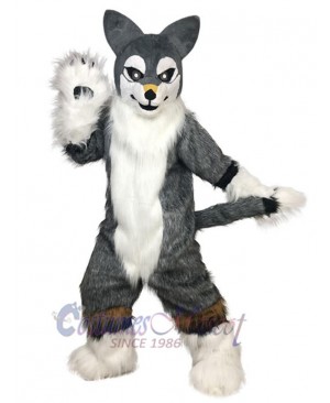 Dog mascot costume