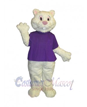 Groundhog mascot costume