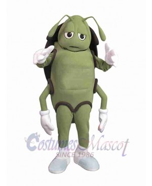 Cockroach mascot costume