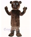 Cool Brown Bear Mascot Costume