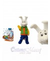 Bunny Rabbit mascot costume