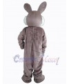 Easter Bunny Rabbit mascot costume