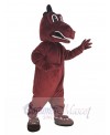 Dragon mascot costume