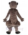 Meerkat mascot costume