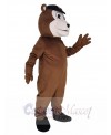 Bear mascot costume