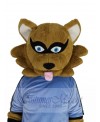 Raccoon mascot costume