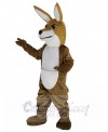 Kangaroo mascot costume