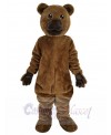 Bear mascot costume