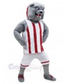 Dog mascot costume