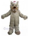 Wolf mascot costume