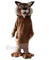 Tiger mascot costume