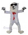 Lion mascot costume