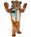 bear mascot costume