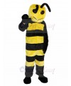 Bee mascot costume