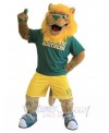 Lion mascot costume