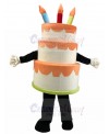 Cake mascot costume