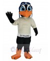 Skyhawk mascot costume