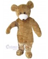 Bear mascot costume