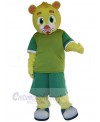 Bear mascot costume