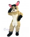 Rabbit mascot costume