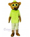 Bear mascot costume