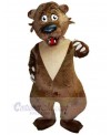 Bear mascot costume