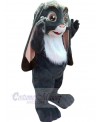 Bunny mascot costume