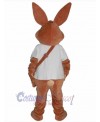 Easter Bunny Rabbit mascot costume