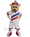 Bear mascot costume